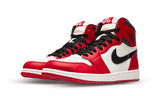 Air Jordan 1 Retro High OG Lost and Found